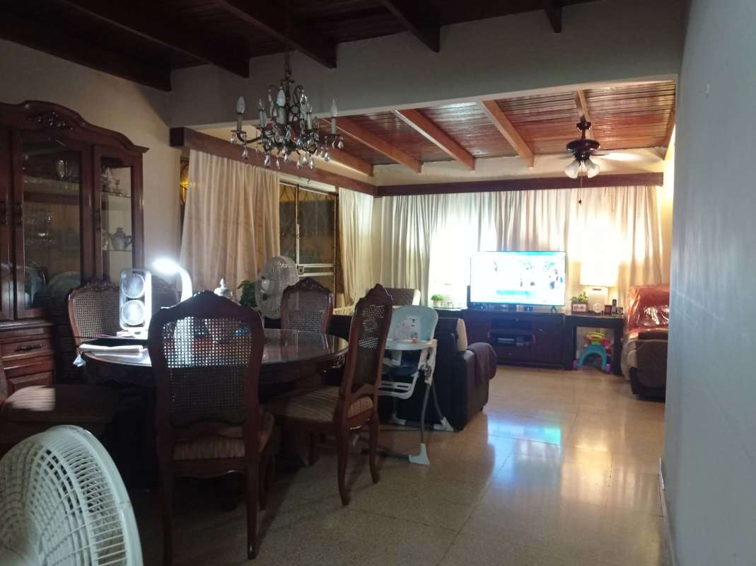 Backyard large trees garden outdoor Betania house Panama City