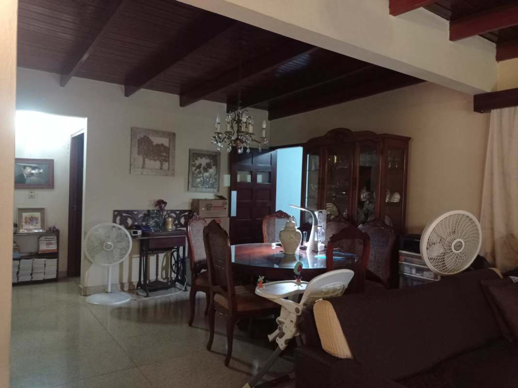 Green backyard garden and patio Betania Panama City house near El Dorado