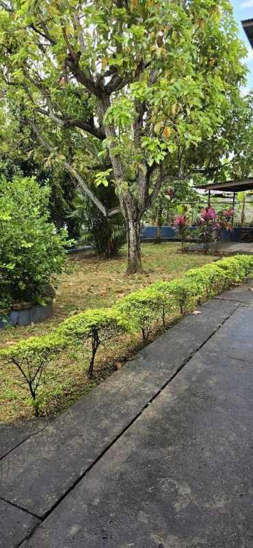 Lush garden courtyard with trees and seating PH El Carmen Residences El Carmen Bella Vista Panama