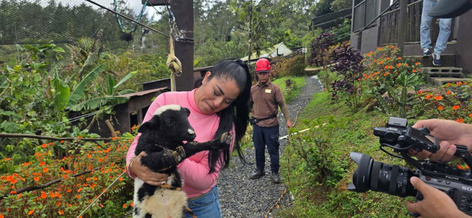 Outdoor swimming pool with gardens at Mountain Eco Hotel in Cerro Azul Panama