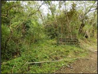 Dense mountain forest terrain suitable for eco-lodge or farm development Sorá Panama