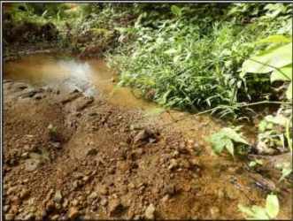 Natural forest landscape with dirt road access perfect for eco-resort development Sorá Panama