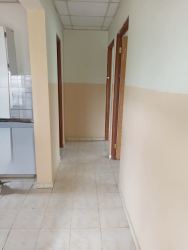 Spacious backyard fenced green area tree shade house for sale Penonomé Panama