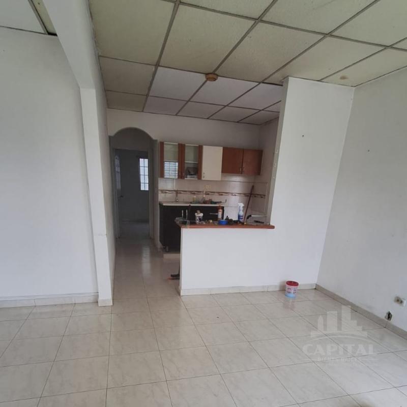 Private backyard with lawn and concrete walls in affordable home La Riviera Don Bosco Panama