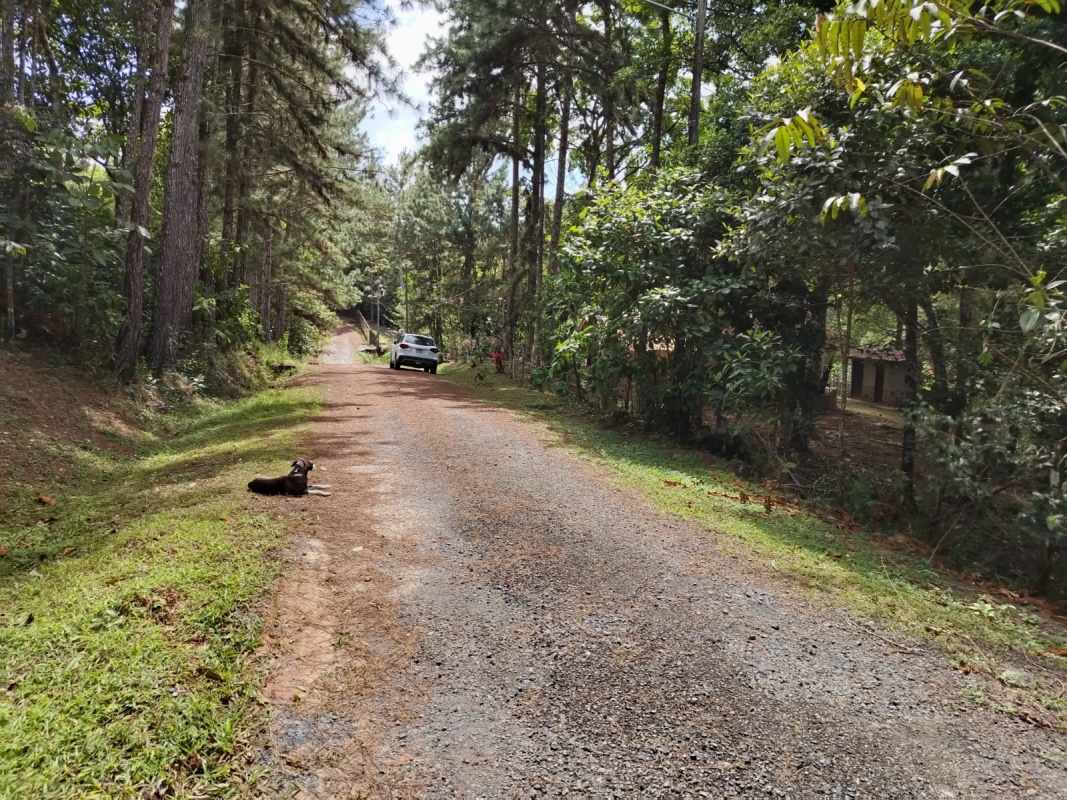 Gravel access road with forest and rustic house in Cerro Azul Panama