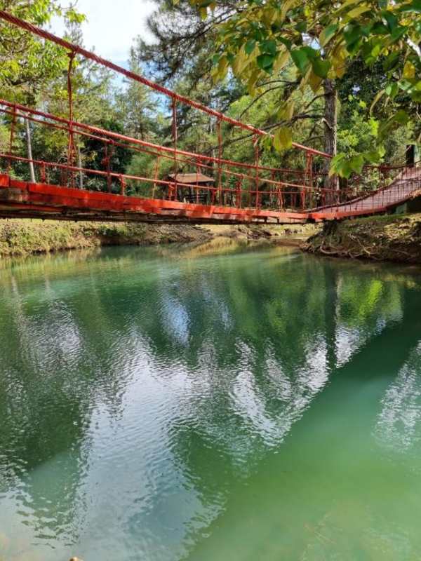 Community pool area surrounded by trees at Los Altos de Cerro Azul Panama