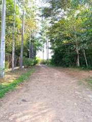 Country estate with farmland for Sale in Pajonal - 3 bedrooms