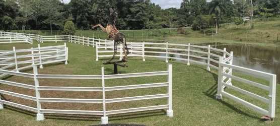 Decorative paddock with white fence, horse statue, pond, lush greenery Cerro Cama Panama