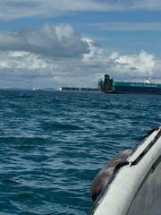 Land for Sale in Taboga - 0 bedrooms