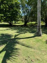 Shaded barbecue and picnic space with greenery on large tourist farm Rio Hato Panama