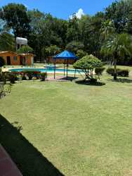 Wide green zones with palms on 8 hectare tourist investment farm Rio Hato Panama