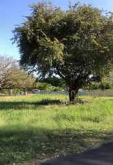 Vacant Land for Sale in Chame - 0 bedrooms