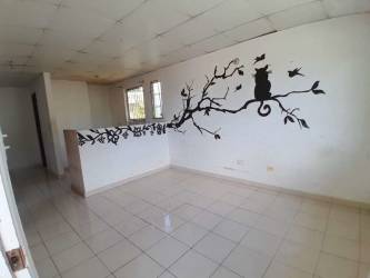 Minimalist living-dining room with tile floor mural cat tree branch Princesa Mía IV Panama
