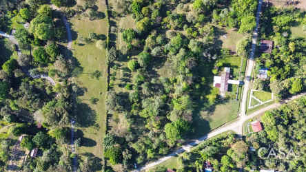 8,873m2 Flat Land for Sale near David Chiriquí in Cochea - View 4