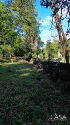 8,873m2 Flat Land for Sale near David Chiriquí in Cochea - View 2