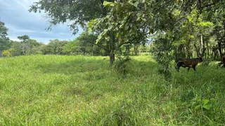 Land for Sale in San Lorenzo - 0 bedrooms