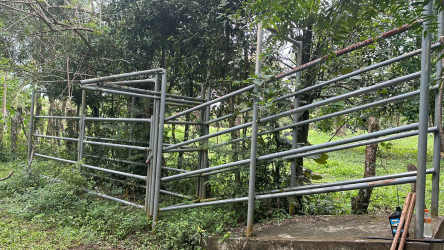 Open green agricultural pasture with goat grazing Guaca Dolega Chiriquí