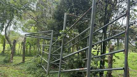 Vacant flat land with mature trees under cloudy sky Guaca Dolega Chiriquí