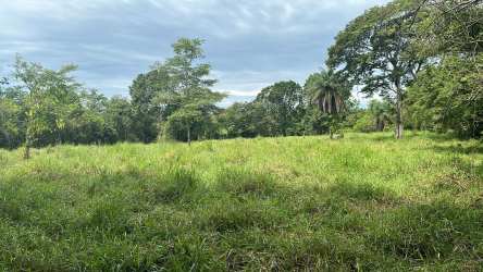 Rural property entry gate with trees and vegetation Guaca Chiriquí Panama