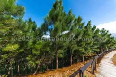 Forested walking trails and panoramic mountain views in Altos de María mountain community Panama