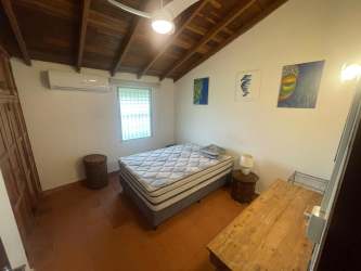 Large tropical garden with mature palms and greenery at Coronado beach rental house