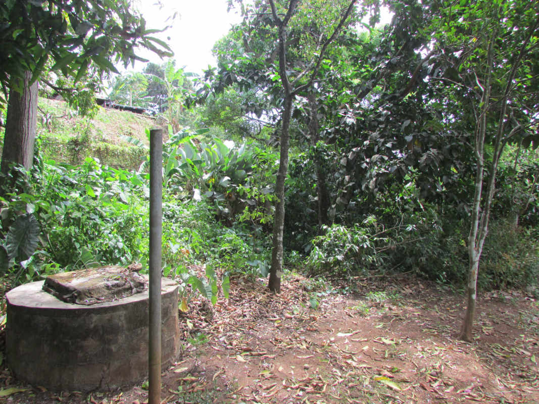 Commercial development site with access to elevated metro line and main road Tocumen Panama