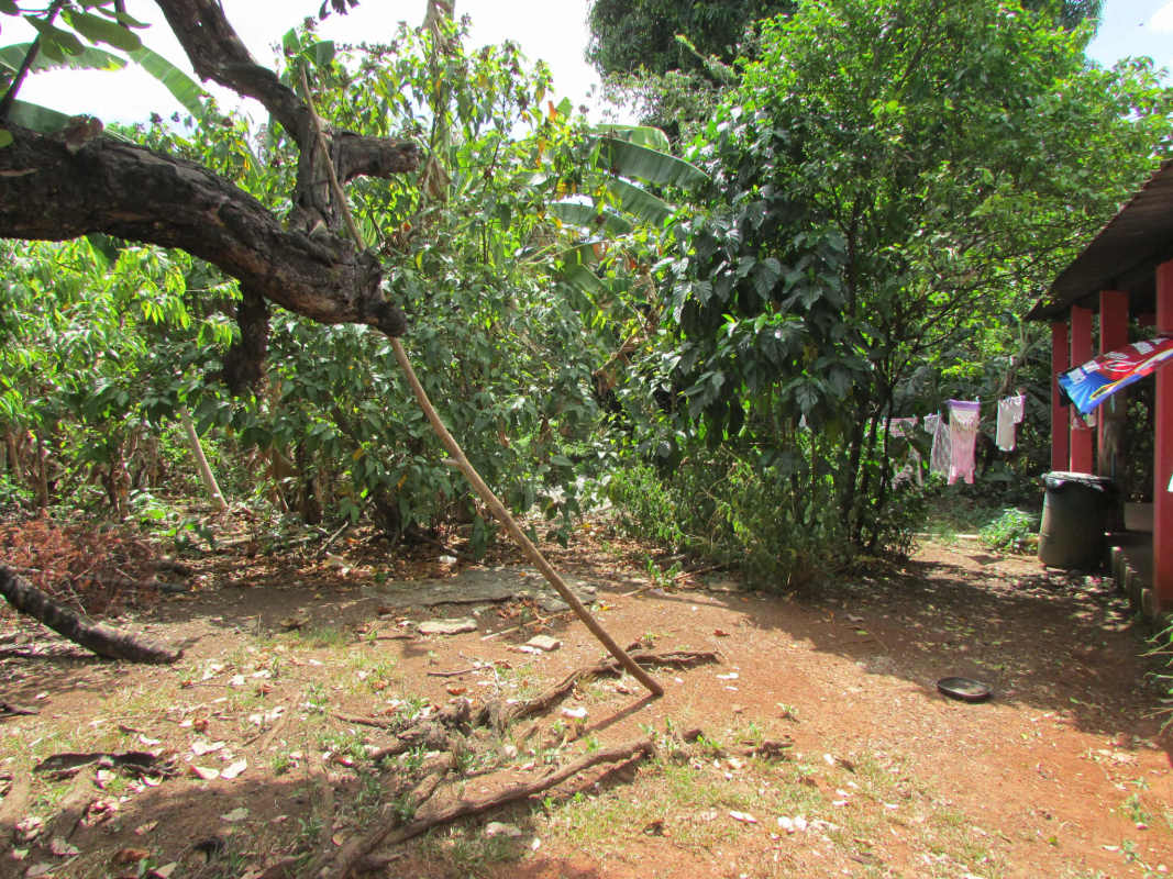 Spacious commercial terrain at Tocumen Metro, ideal location for commercial development