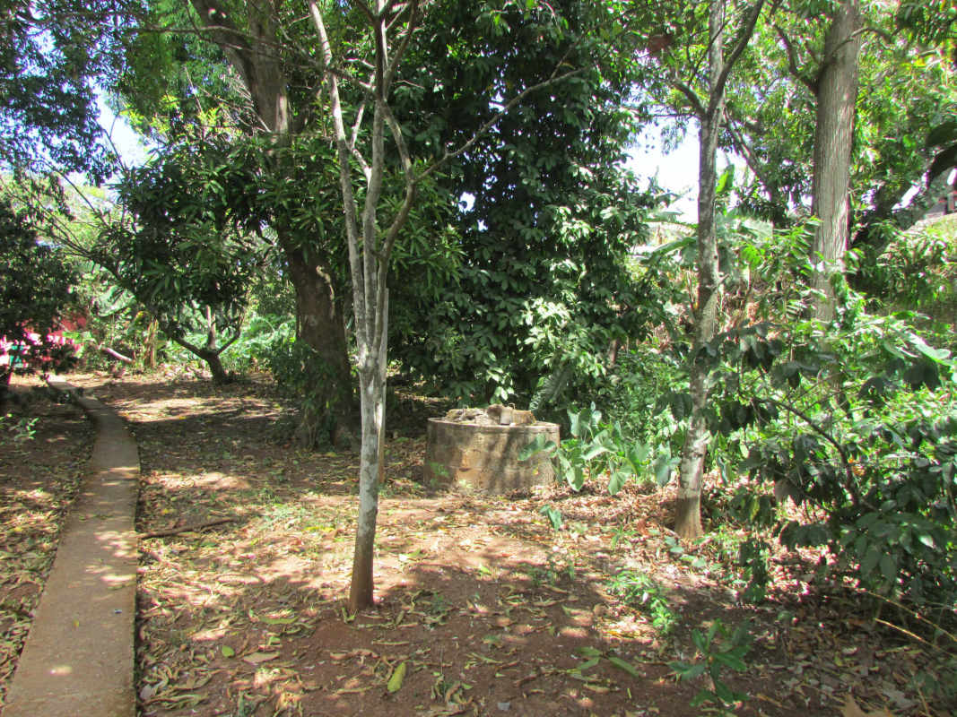 Surrounding green areas with trees near the Tocumen commercial lot for sale