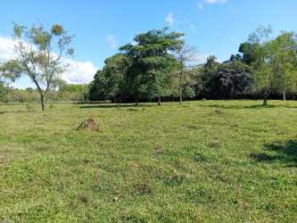 Dense forest area within 4-hectare lot in Chiriquí near Volcán Panama