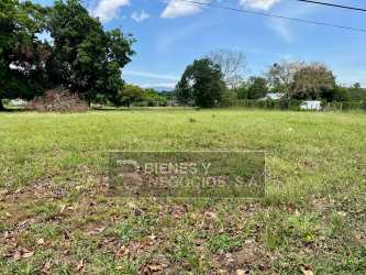 Vacant flat plot near La Concepción Bugaba ideal for retail development