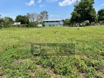 Grassy roadside commercial lot with frontage on Panamericana Bugaba Chiriquí