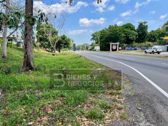 Large open corner plot ideal for commercial center or subdivision in Bugaba