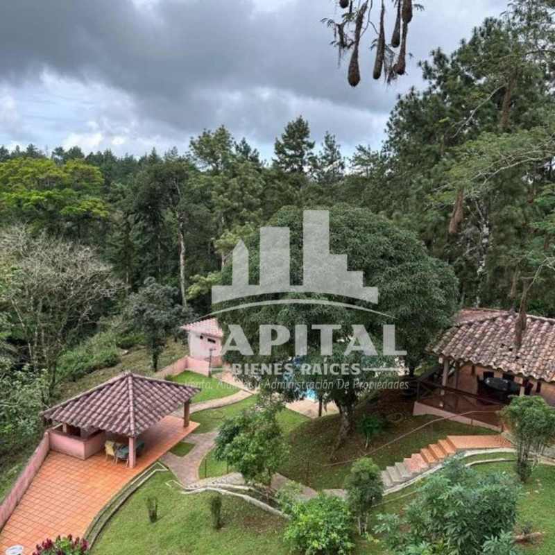 Rustic open living and dining area with exposed beams and stone accents in Cerro Azul boutique hotel Panama