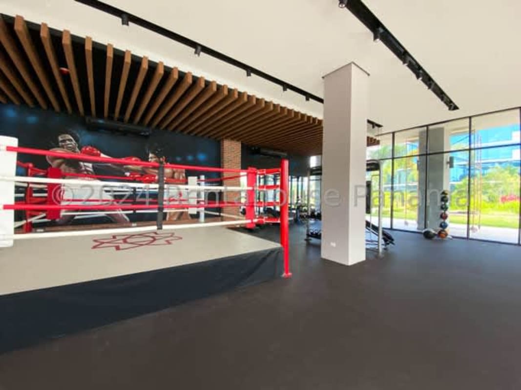 Modern gym with boxing ring and equipment PH The Regent Costa del Este Panama