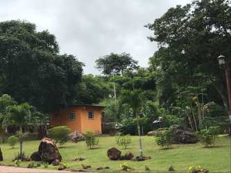 Outdoor swimming pool with deck surrounded by lush gardens and trees at Panama countryside estate