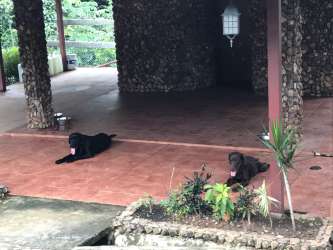 Panoramic mountain view behind sprawling landscaped gardens with rocks and gazebo in Chame Panama countryside