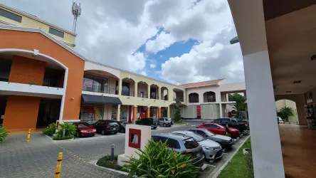 Large parking spaces with palm landscaping at The Village Coronado Panama