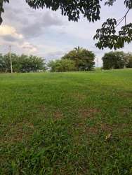 Wide open grass fields and nature landscape in Hacienda Santa Domenica Panama