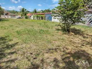 Land for Sale in Chame - 0 bedrooms