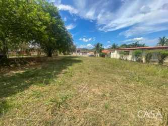 Vacant grassy land with tree shading in residential community Coronado Panama