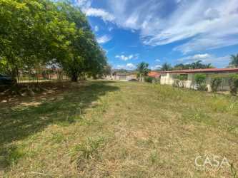 Grassy vacant lot with perimeter fencing and palm trees in Coronado Panama