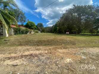 Large flat plot with palm trees near Coronado beach Panama Oeste