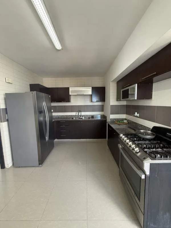 Kitchen with granite counters stainless appliances Infinity Tower Panama San Francisco