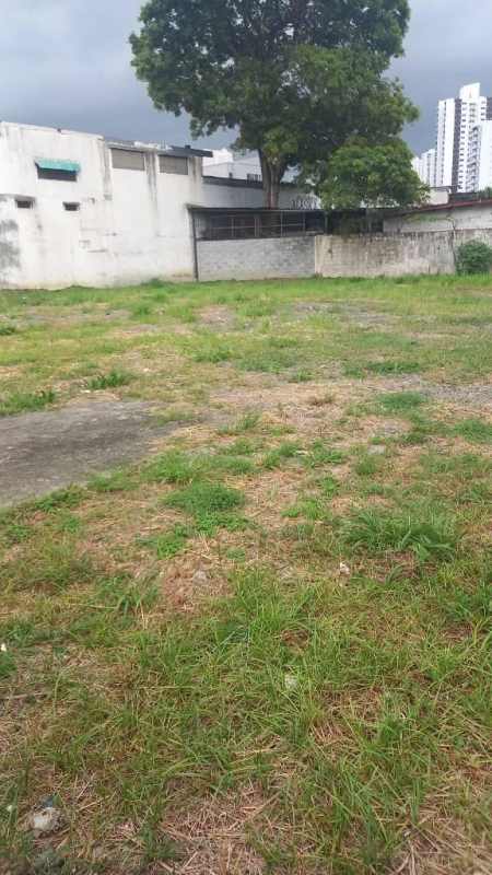 870m2 Commercial Lot for Rent in Parque Lefevre