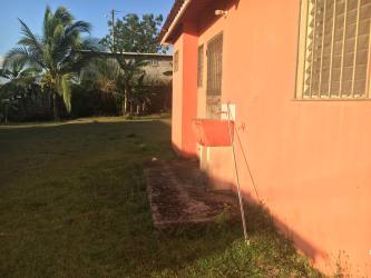 Large grassy backyard with mature trees of house for sale Villas de La Alameda Arraijan