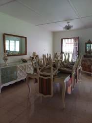 Majestic Renovated 5BR House on 14,000 m² Lot, Downtown Santiago