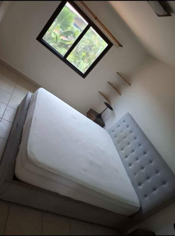 Tropical backyard with artificial turf palm trees patio in Versalles 1 Costa Sur Panama