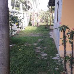 Side yard with stone path and green lawn near orange house wall El Ejido Los Santos Panama