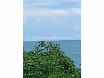 Unobstructed view of Pacific Ocean horizon and sky framed by green tropical coastline in Piedras Gordas Panama