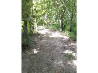 Land for Sale in Piedras Gordas - 0 bedrooms